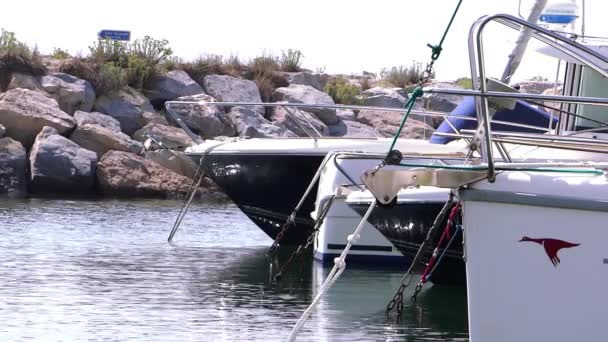 Small port in camargue — Stock Video