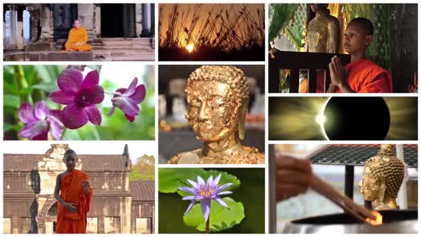 Collage buddhismo, pace, meditazione, positività — Video Stock