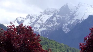 Alp dağ kar maskeli
