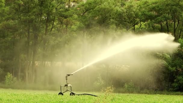 Landwirtschaft, automatische Bewässerung — Stockvideo