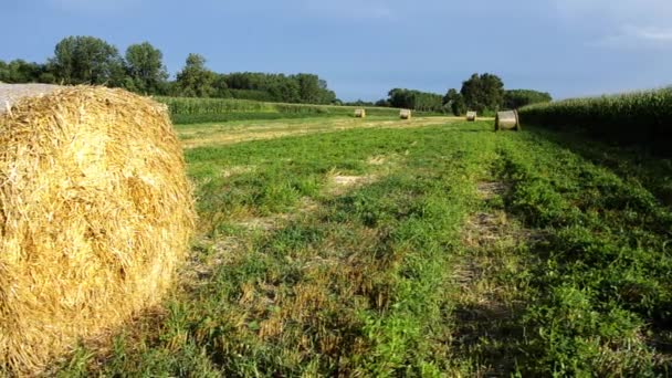 Hay bales — Stock Footage Hay bales Royalty Free Stock Footage