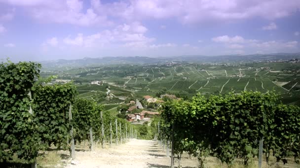 Виноградники Ланге, Пьемонт, Италия — стоковое видео