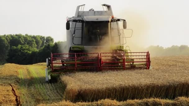 Agriculture, moissonneuse-batteuse 