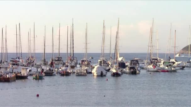 Łodzie żaglowe na kotwicy w morzu Toskanii — Wideo stockowe