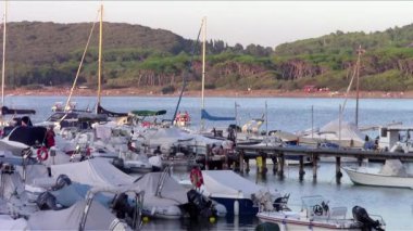 Tuscan deniz, yelkenli çapa at