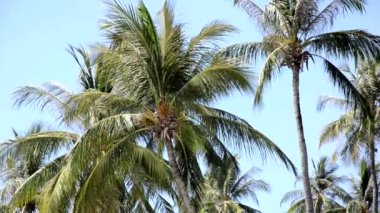 Turkuaz bir gökyüzü üzerinde avuç içi