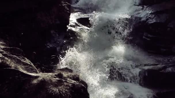 Cachoeira perto — Vídeo de Stock