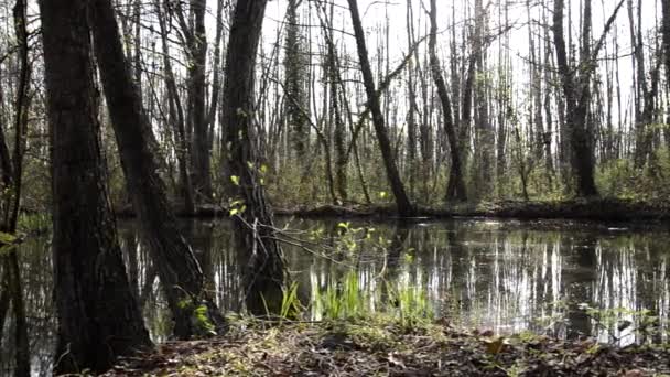 Marais, poignée de poupée 