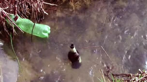 Residuos en el río, contaminación — Vídeo de stock