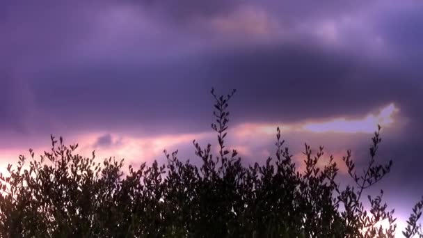 Purpurblauer Himmel — Stockvideo