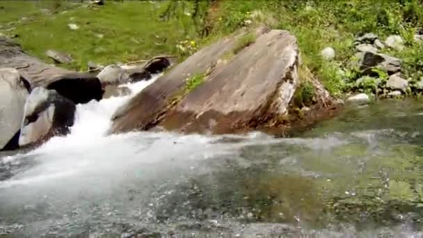 Underwater camera in mountain stream — Stock Video