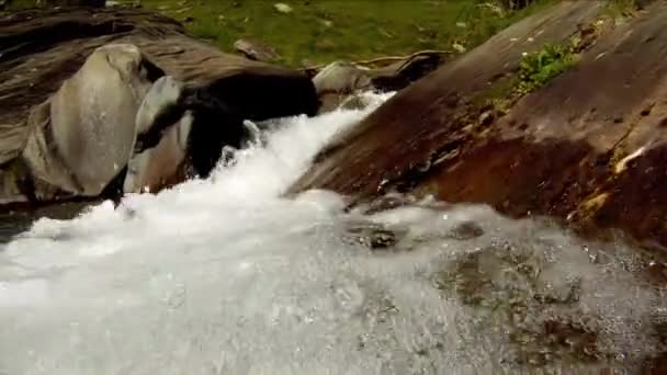 Unterwasserkamera im Gebirgsbach — Stockvideo