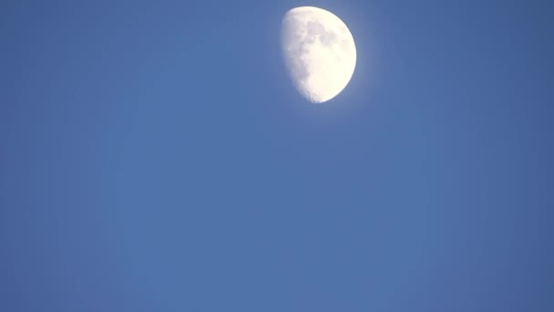 Lune et oiseaux noirs 