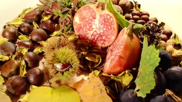 Fruits d'automne 