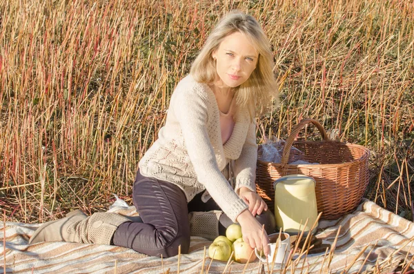 Jonge mooie vrouw in de picknick — Stockfoto