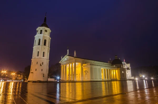 在立陶宛维尔纽斯大教堂广场 — 图库照片