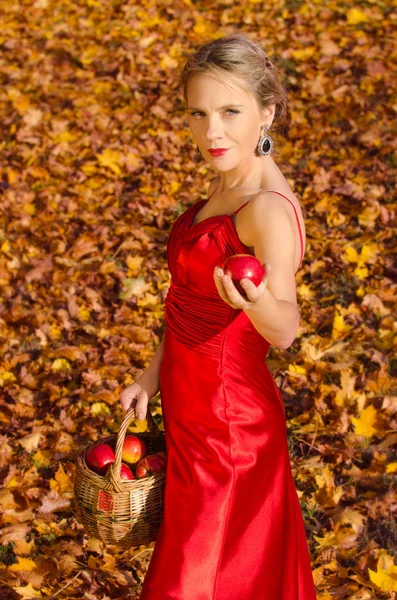 Herfst portret van jonge mooie vrouw met mand met appelen — Stockfoto