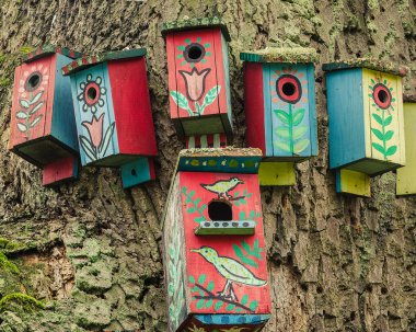 ağaç boyalı kuş evleri