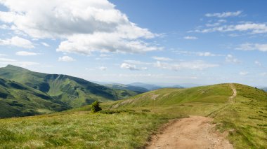 Ukrayna 'daki Karpat Dağları