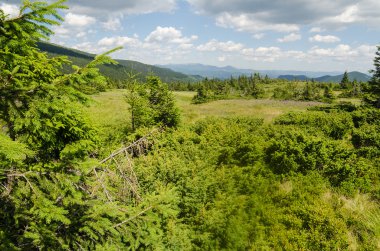 Ukrayna 'daki Karpat Dağları