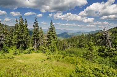 Ukrayna 'daki Karpat Dağları