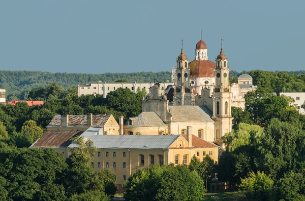 立陶宛。维尔纽斯。ascention 大教堂 — 图库照片