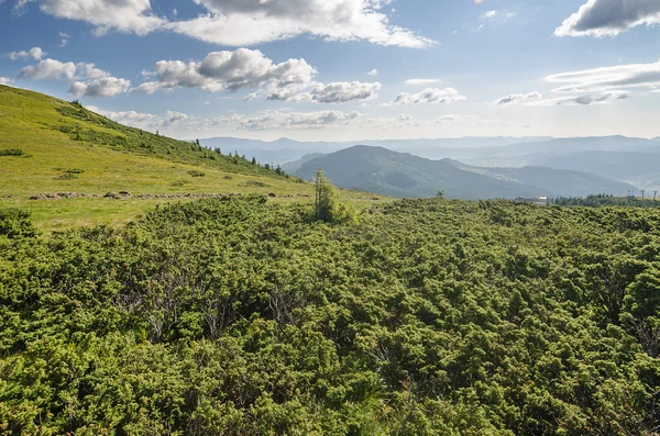 ウクライナのカルパチア山脈 — ストック写真