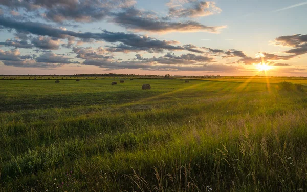 Hö på fältet — Stockfoto