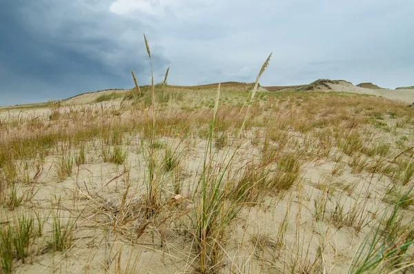 Tote Dünen in Neringa, Litauen — Stockfoto