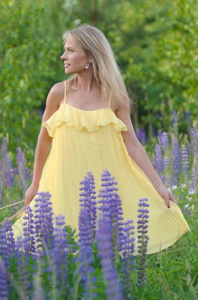 Young beautiful woman in the lupine field — Stock Photo, Image