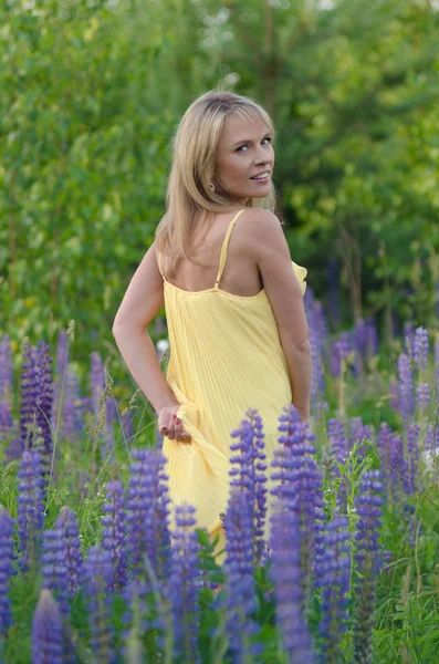 Young beautiful woman in the lupine field — Stock Photo, Image