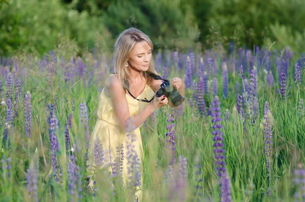 Young beautiful woman with camera in the lupine field — Stock Photo, Image