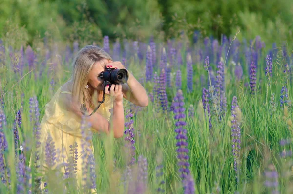 Joven hermosa mujer con cámara en el campo de altramuz —  Fotos de Stock