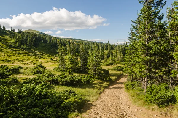 Carpathian Mountains next to Dragobrat, Ukraine Stock Photo