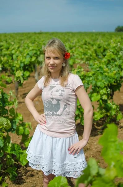 Young beautiful woman in vineyard — Stock Photo, Image