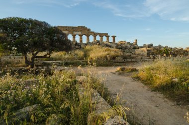 Acropolis adlı selinunte, Sicilya
