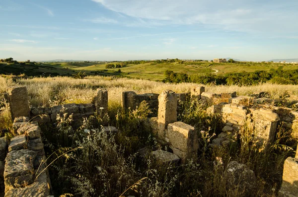 Akropolis op selinunte, Sicilië — Stockfoto