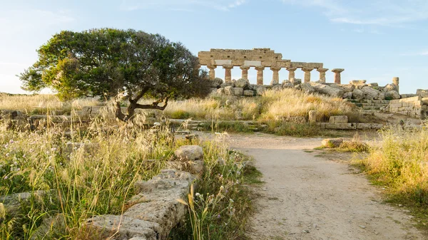 Acrópole em Selinunte, Sicília — Fotografia de Stock