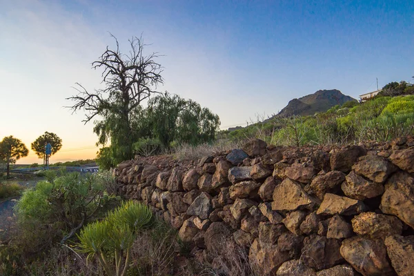 Lansdcape tenerife — Stock fotografie