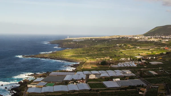 Landskapet i Teneriffa — Stockfoto