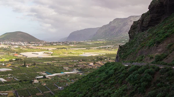 Manzara bir tenerife — Stok fotoğraf