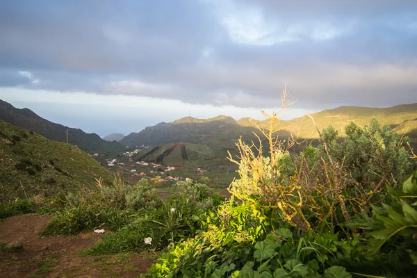 Landscape of Tenerife — Stock Photo, Image