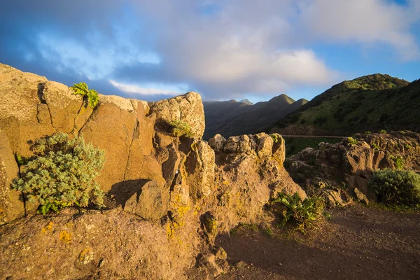 Paisaje de Tenerife —  Fotos de Stock