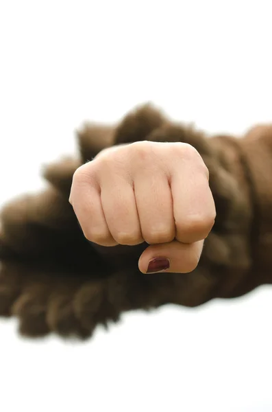Aggressive fist of woman — Stock Photo, Image