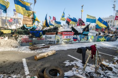 31 Ocak 2014 tarihinde Maidan protestolara kiev, Ukrayna
