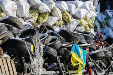 31 Ocak 2014 tarihinde Maidan protestolara kiev, Ukrayna