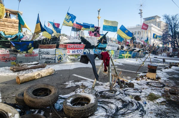 Protestos de Maidan em 31 de janeiro de 2014 em Kiev, Ucrânia — Fotografia de Stock