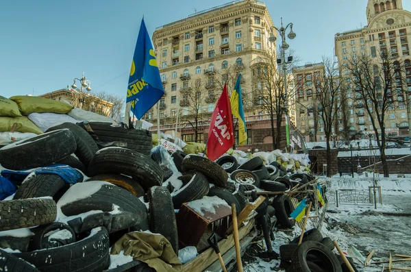 Maidan protesta el 31 de enero de 2014 en Kiev, Ucrania — Foto de Stock