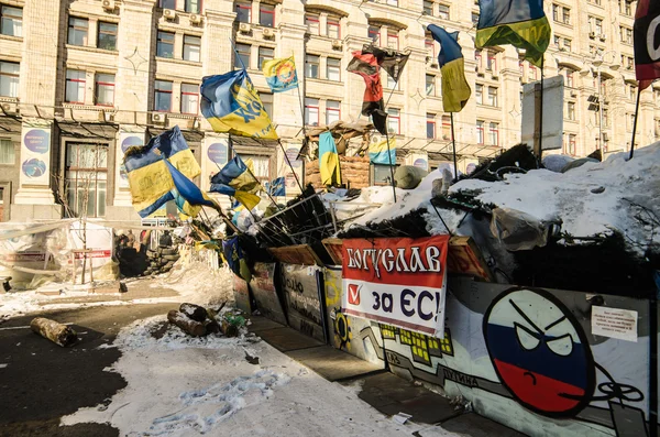 Maidan protests on 31 January 2014 in Kiev, Ukraine — Stock Photo, Image