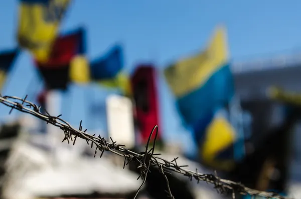 Maidan protests on 31 January 2014 in Kiev, Ukraine — Stock Photo, Image